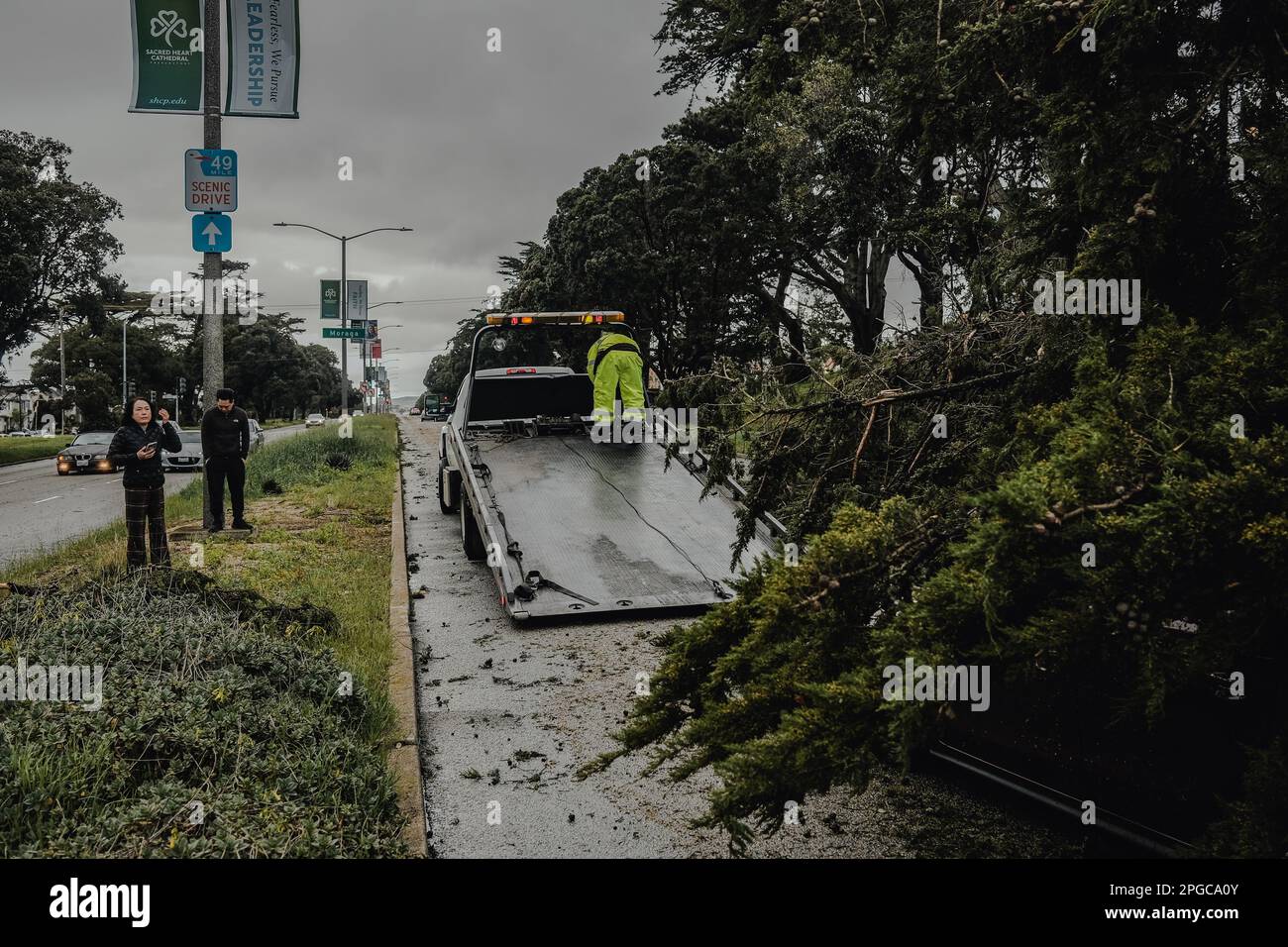 Un grande albero crash-sbarcò su una macchina sulla strada. Il tetto della vettura è schiacciato e i detriti sono sparsi su tutto, evidenziando la gravità dell'impatto. Una forte tempesta ha recentemente colpito la Bay Area, causando caos e distruzione a San Francisco. Le condizioni climatiche estreme hanno portato al crollo di numerosi alberi, che alla fine hanno colpito le automobili e creato situazioni pericolose per le strade. Mentre la tempesta infuriava, la gente della città stava avendo un momento difficile sotto la pioggia incessante. I forti venti e il forte defluente hanno reso quasi impossibile uscire senza un adeguato ingranaggio di pioggia. Quelli che erano c Foto Stock