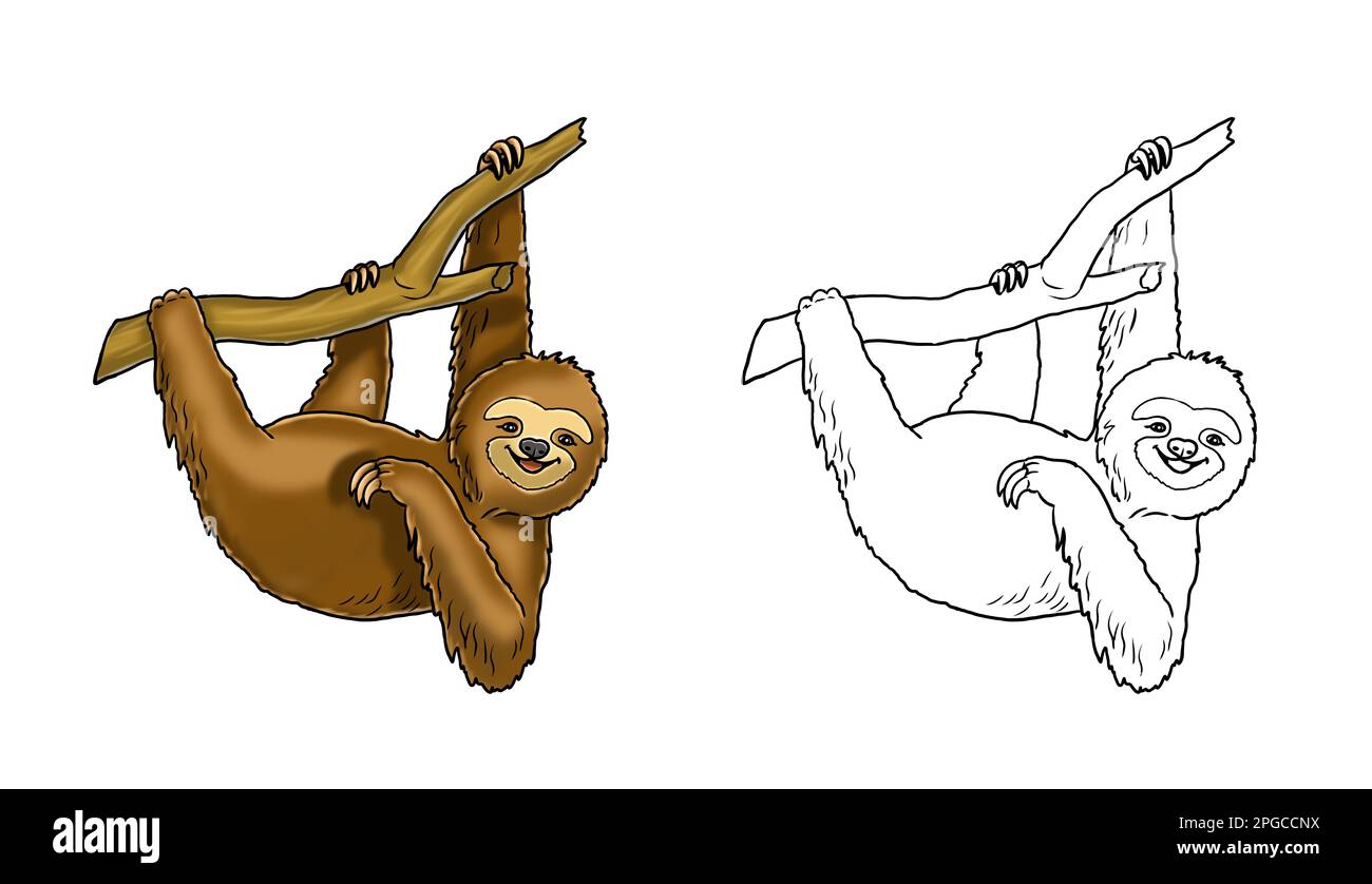 Cute e divertente sloth per colorare. Modello per un libro da colorare con animali divertenti. Pagina colore per bambini. Foto Stock