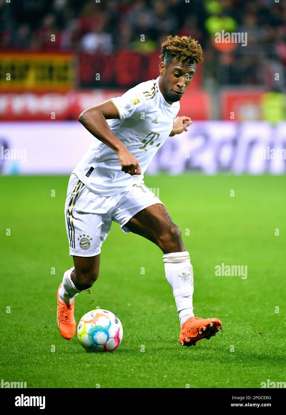 Bundesliga, BayArena Leverkusen; Bayer Leverkusen vs Bayern Monaco; Kingsley Coman (FCB) Foto Stock