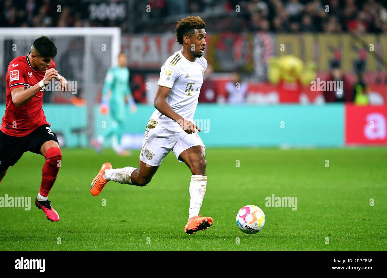 Bundesliga, BayArena Leverkusen; Bayer Leverkusen vs Bayern Monaco; Kingsley Coman (FCB) Foto Stock