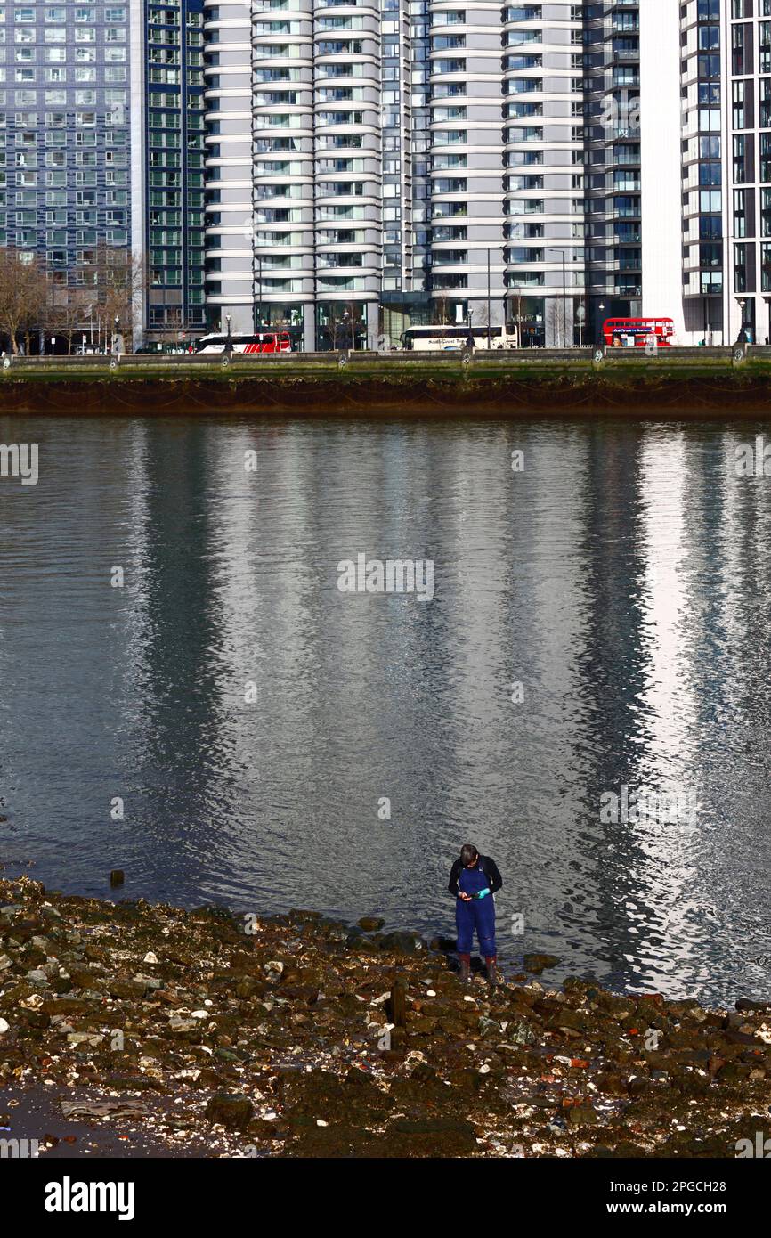 Fanglark femminile in cerca di manufatti e cose di interesse sul litorale del Tamigi con la bassa marea, nel centro di Londra, Inghilterra Foto Stock