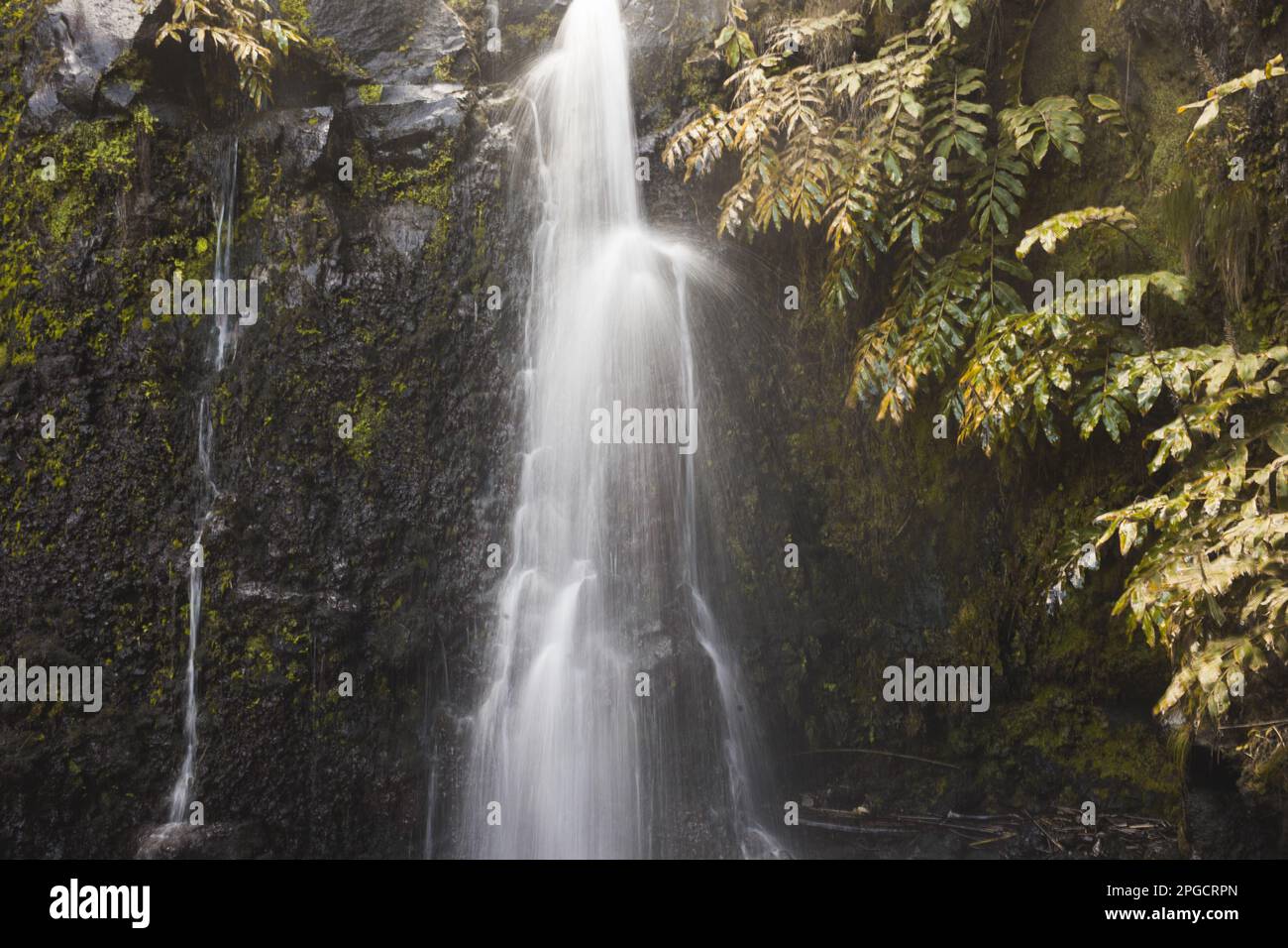 Vista pittoresca della cascata che cade dalla cima attraverso la verde collina della foresta tropicale mentre l'acqua lattea vaporizza nelle giornate di sole nella regione delle Azzorre Foto Stock