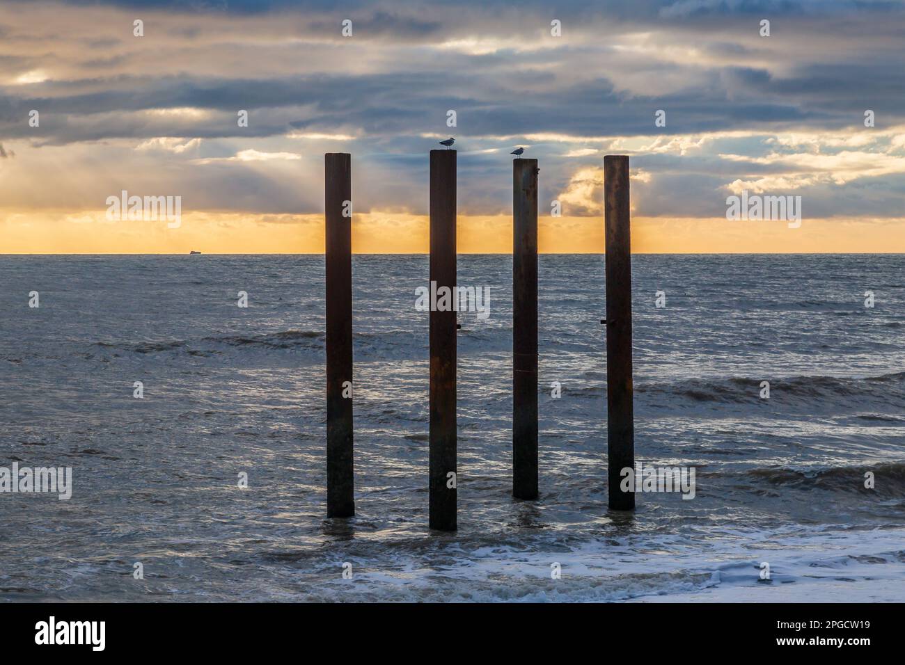 Uccelli arroccati su pali di metallo del vecchio West Pier a Brighton, con un cielo tramonto dietro Foto Stock