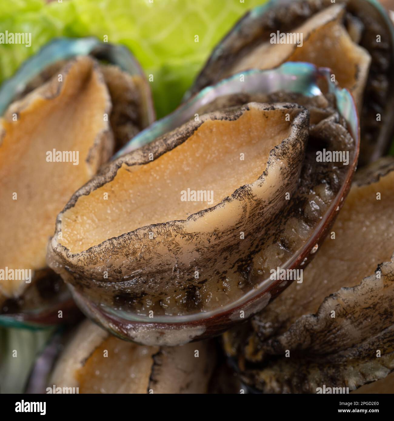 Delizioso abalone crudo in un piatto con lattuga su sfondo tavolo di legno. Foto Stock