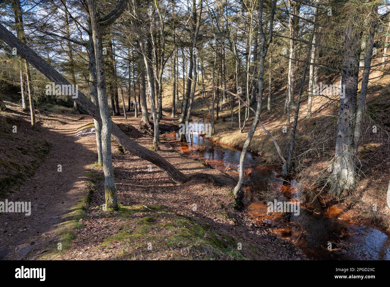 Fenomeno naturale Boegsted rende vicino alla costa danese del Mare del Nord, Danimarca Foto Stock