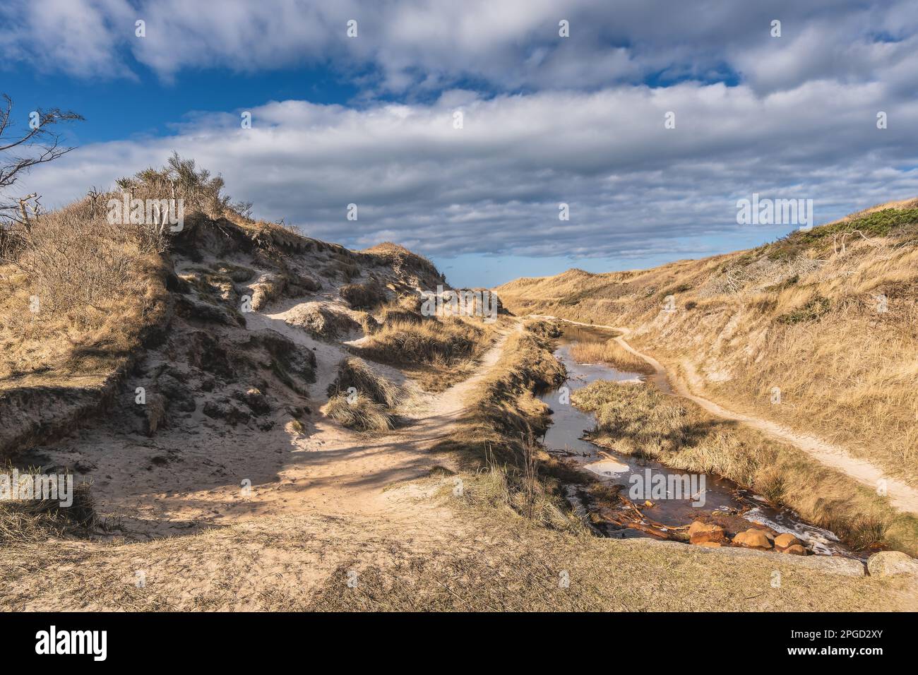 Fenomeno naturale Boegsted rende vicino alla costa danese del Mare del Nord, Danimarca Foto Stock