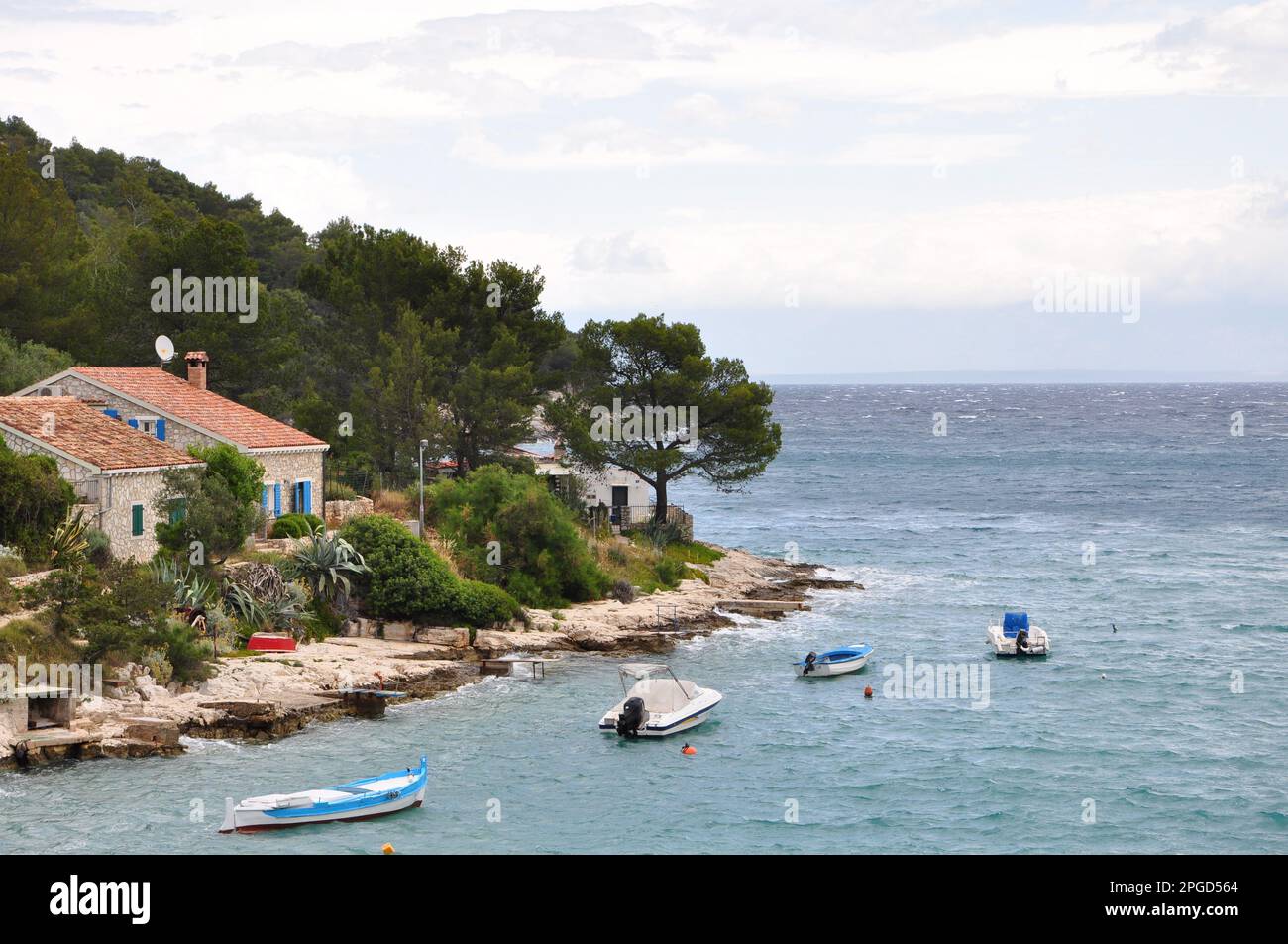 Isola Losinj, Croazia famosa meta turistica sul mare Adriatico. Litorale con spiaggia e barche, pino Foto Stock