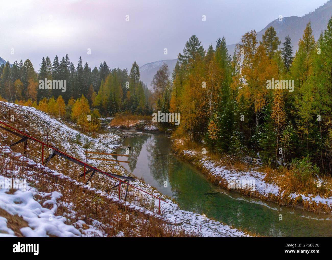 Le scale conducono ad un piccolo fiume limpido di notte con la nebbia nella neve degli alberi autunnali nelle montagne Altai in Siberia in autunno. Foto Stock