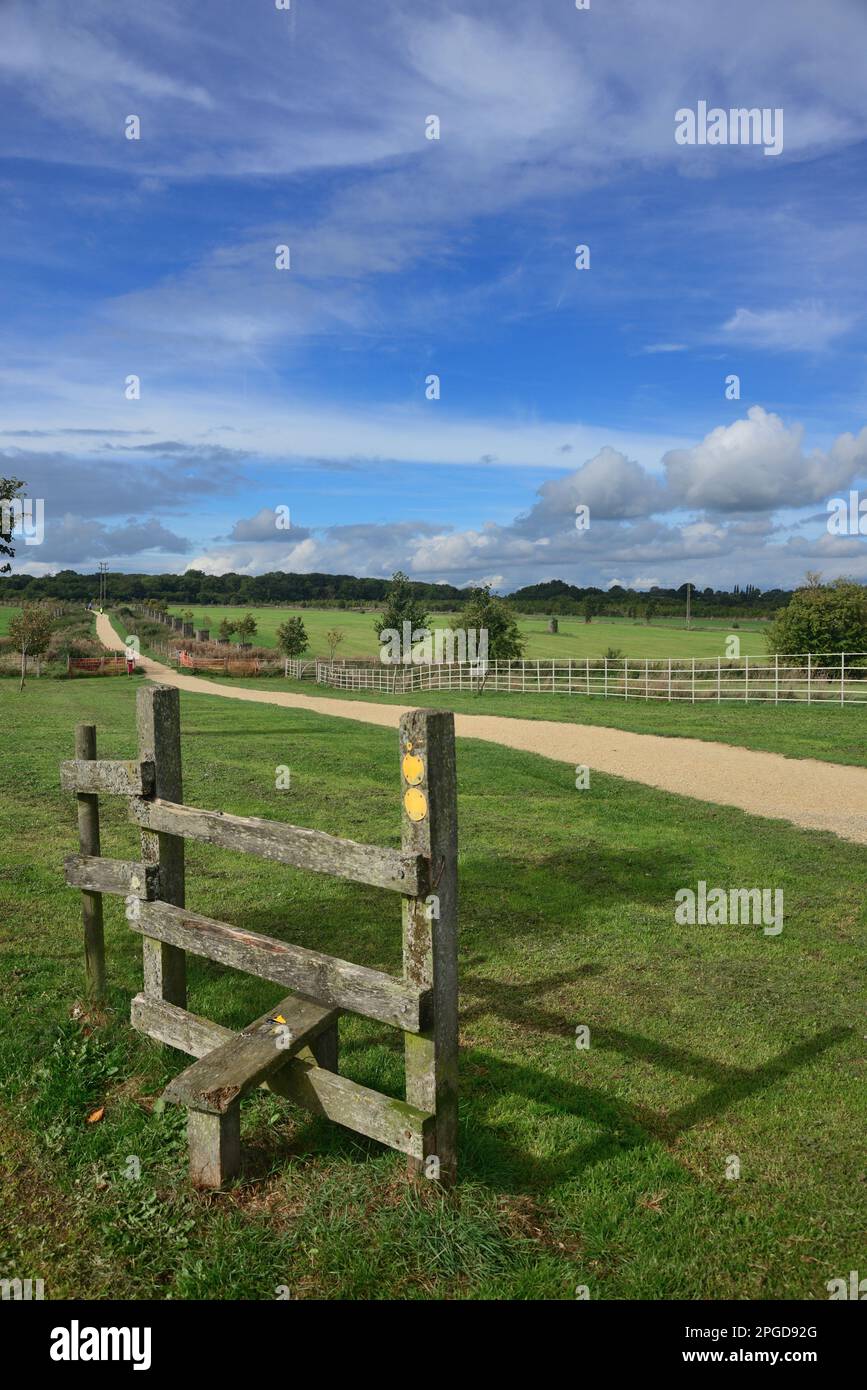 Una stele di recinzione che si erigerà da sola senza recinzione su entrambi i lati nel Lydiard Park, Swindon, Wiltshire. Foto Stock