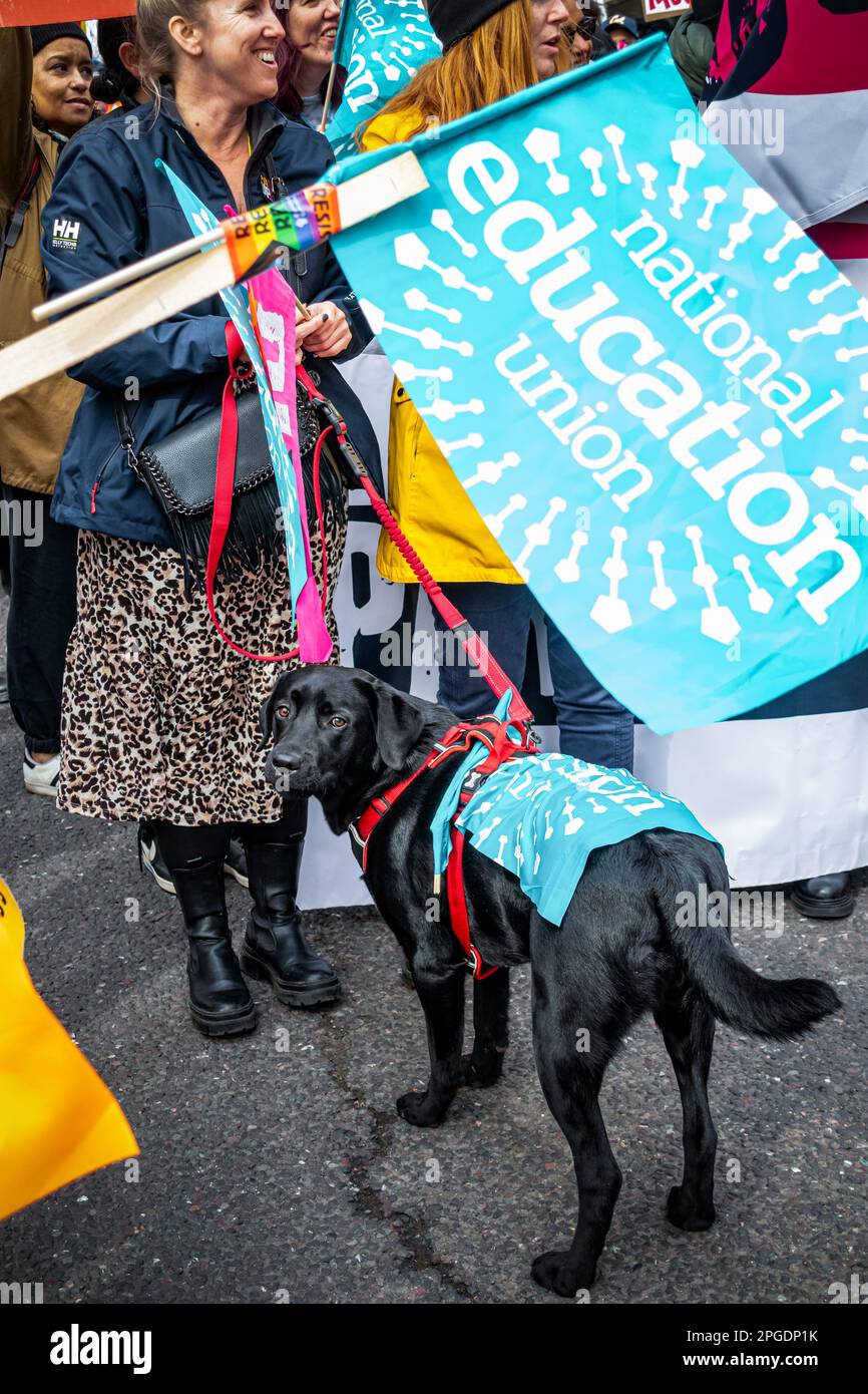 Londra, Regno Unito. 15th marzo, 2023. Cane protesta. Insegnanti e bambini si allineano all'inizio della più grande protesta da quando sono iniziati gli scioperi. La protesta del Budget Day nel centro di Londra. Migliaia di persone hanno marciato per le strade verso Trafalgar Square, tra cui insegnanti, medici in formazione e funzionari pubblici, tutti in battuta per una retribuzione migliore e migliori condizioni di lavoro. In totale circa mezzo milione di lavoratori del settore pubblico in tutto il paese hanno superato la retribuzione. Foto Stock