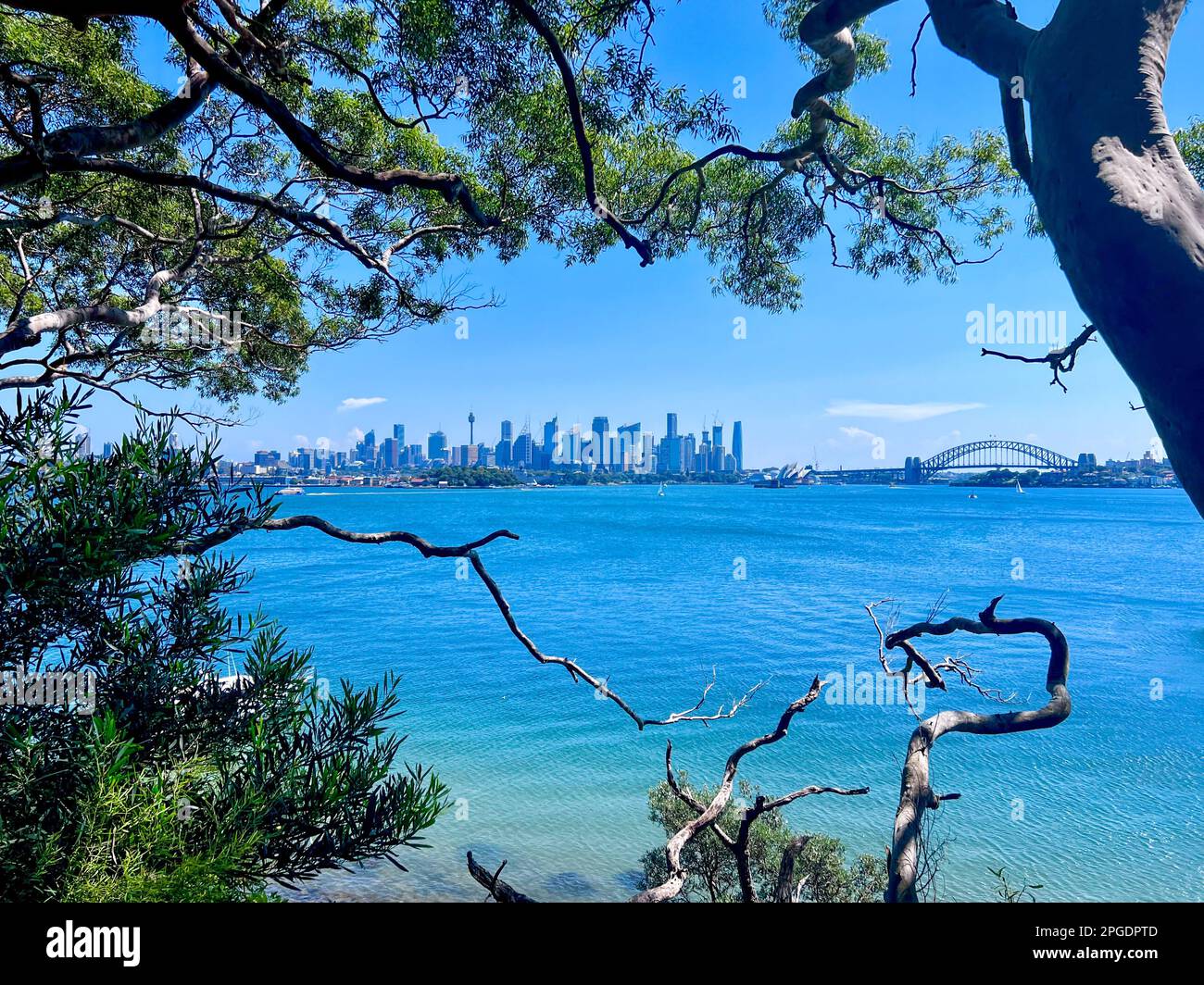 Vista della città e del Sydney Harbour Bridge da Bradley's Head, Sydney, New South Wales, Australia Foto Stock