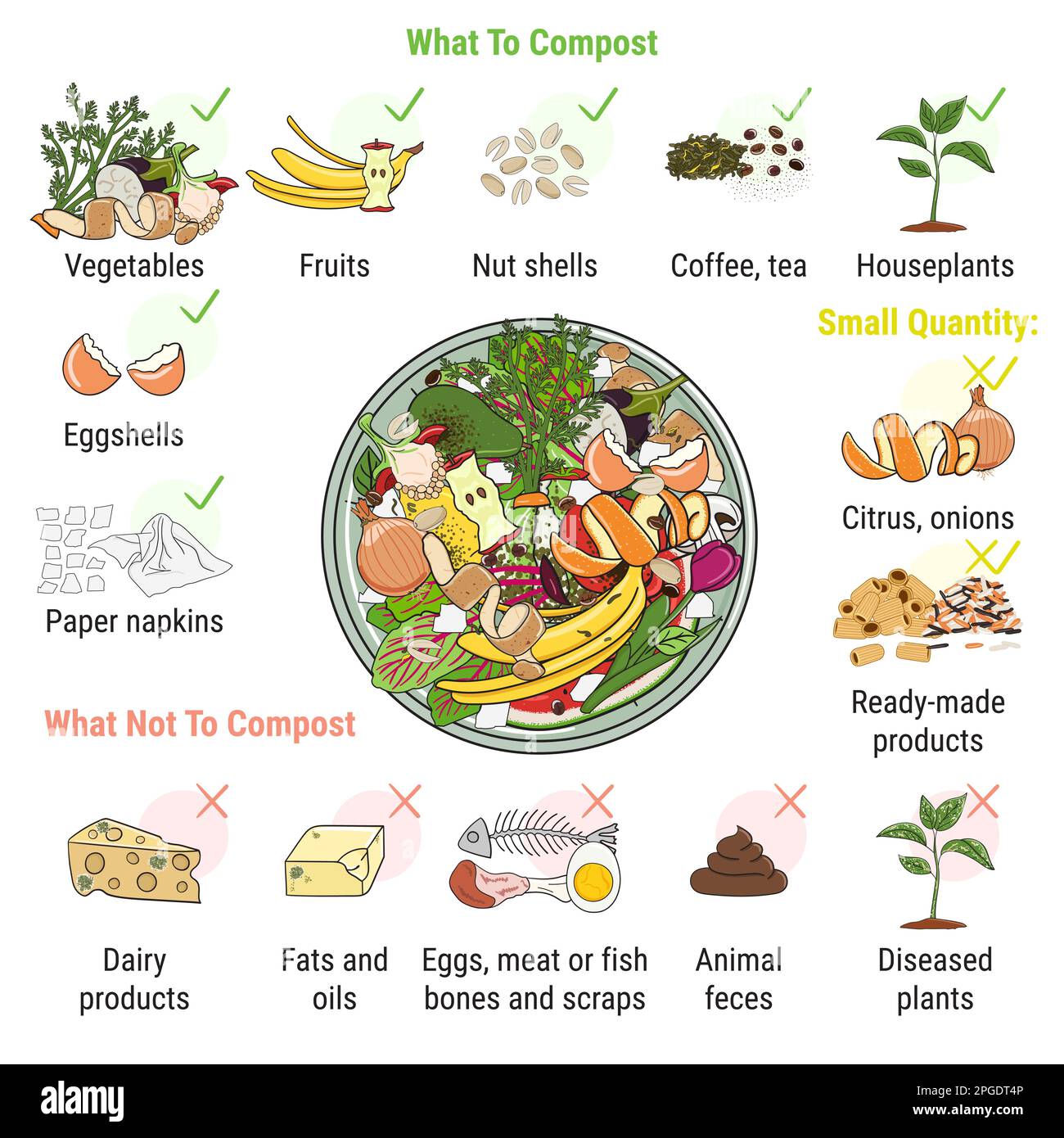Infografica di scomparto di compostaggio con scarti di cucina. Che cosa a o non compost. Niente cibo sprecato. Riciclare rifiuti organici, compost. Vita sostenibile, ZE Illustrazione Vettoriale