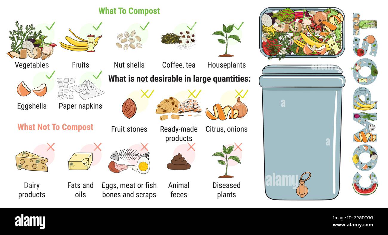 Infografica di scomparto di compostaggio con scarti di cucina. Che cosa a o non compost. Niente cibo sprecato. Riciclare rifiuti organici, compost. Vita sostenibile, ZE Illustrazione Vettoriale