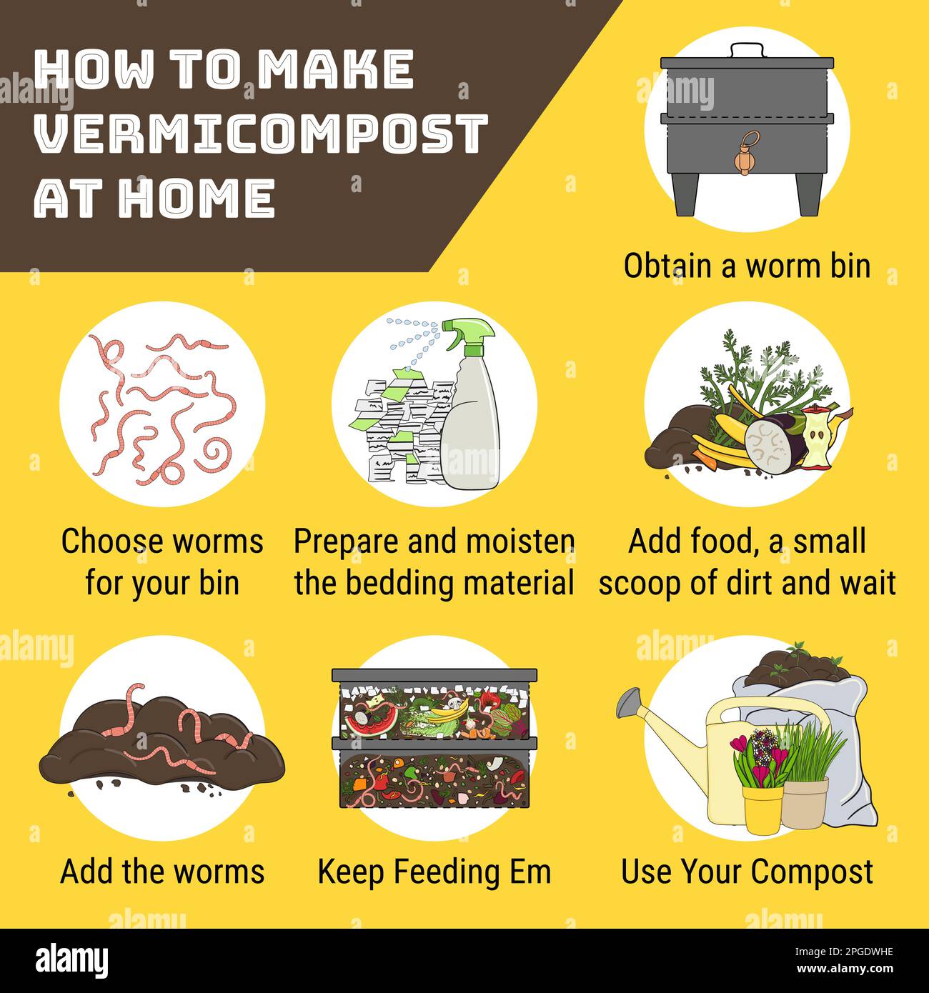 Infografica del vermicomposting. Come fare il vermicompost a casa. Verme riducendo in concime organico. Riciclaggio di rifiuti organici, vermicomposter. Vita sostenibile, zero w Illustrazione Vettoriale