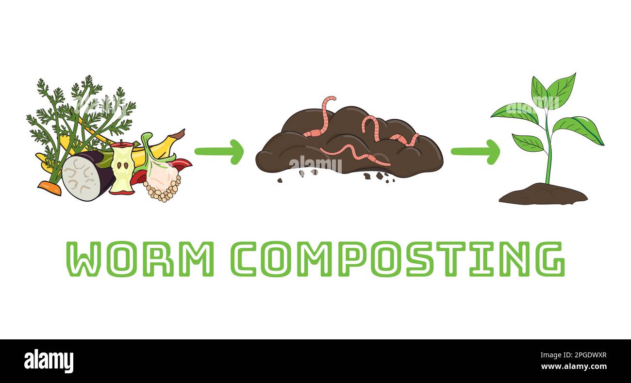Schema di riciclaggio di rifiuti organici da raccogliere scarti di cucina per utilizzare compost per giardinaggio. Riciclaggio dei rifiuti organici. Concetto di zero sprechi. Disegnato a mano Illustrazione Vettoriale