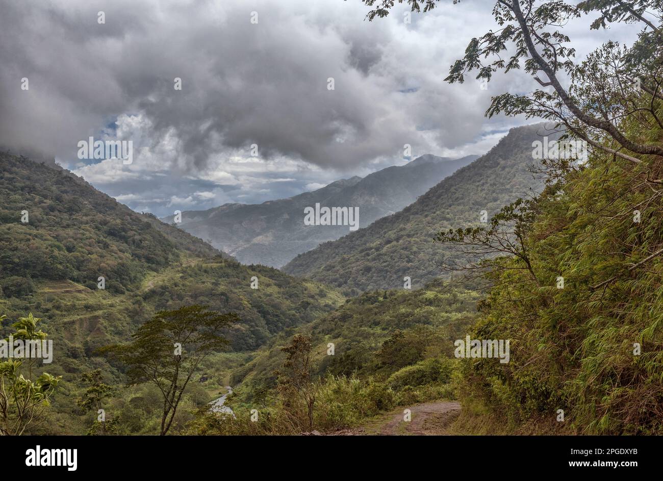 Verde paesaggio nei Monti Tabasara, Panama Foto Stock