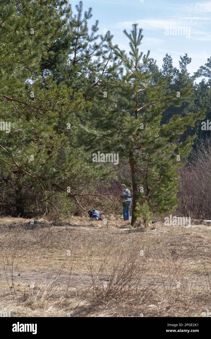 foto di un uomo nel bosco all'inizio della primavera Foto Stock