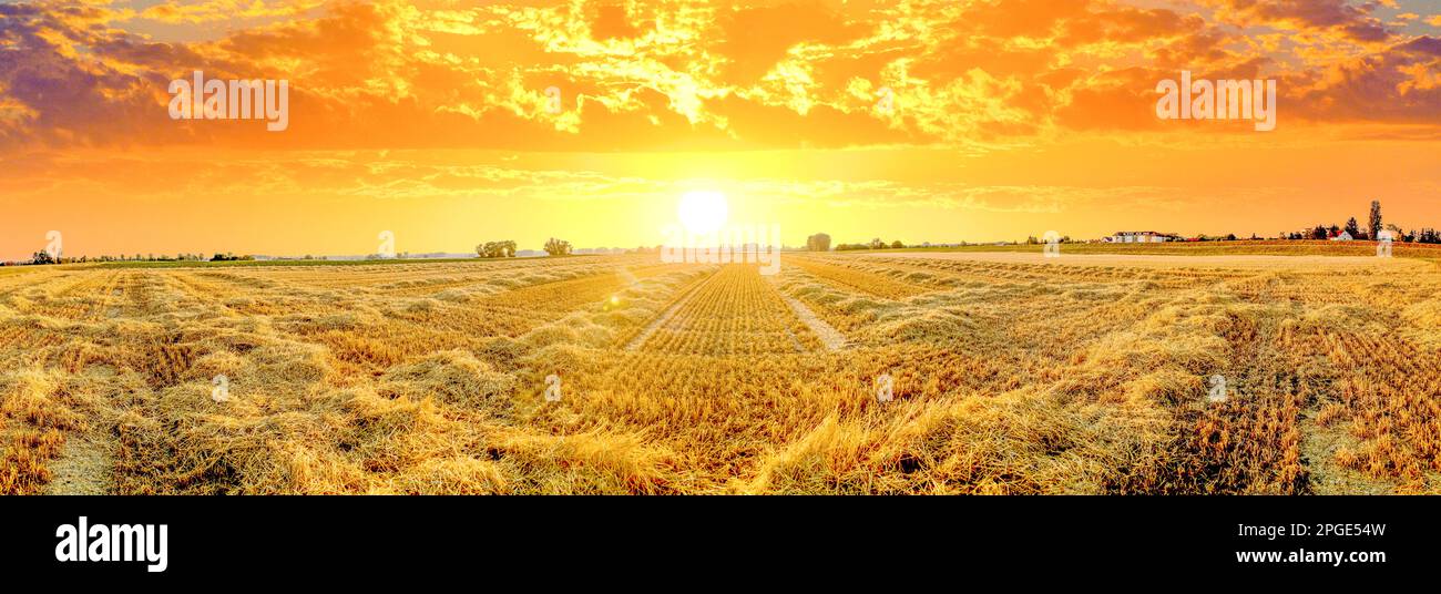 Campi di estrazione a tramonto, Germania Foto Stock