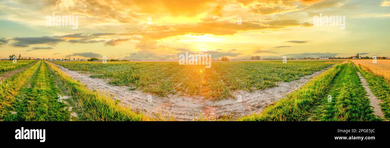 Campi di estrazione a tramonto, Germania Foto Stock