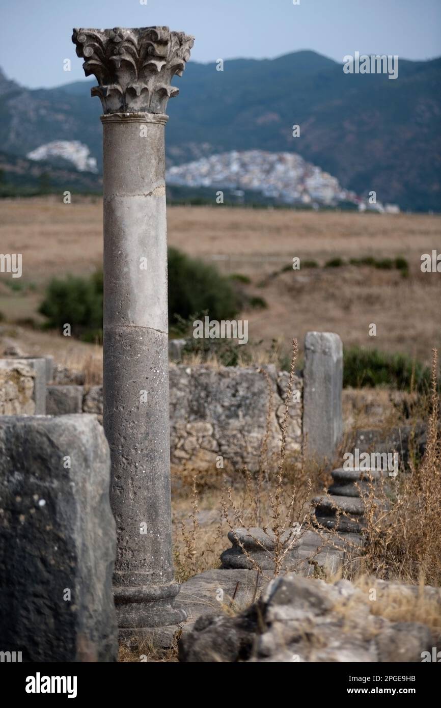 sito archeologico romano di volubilis, meknes, marocco, magreb, africa Foto Stock
