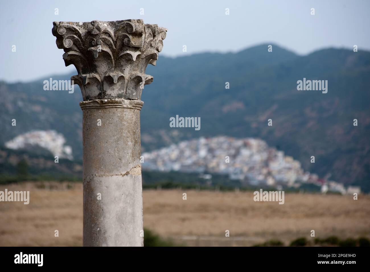 sito archeologico romano di volubilis, meknes, marocco, magreb, africa Foto Stock