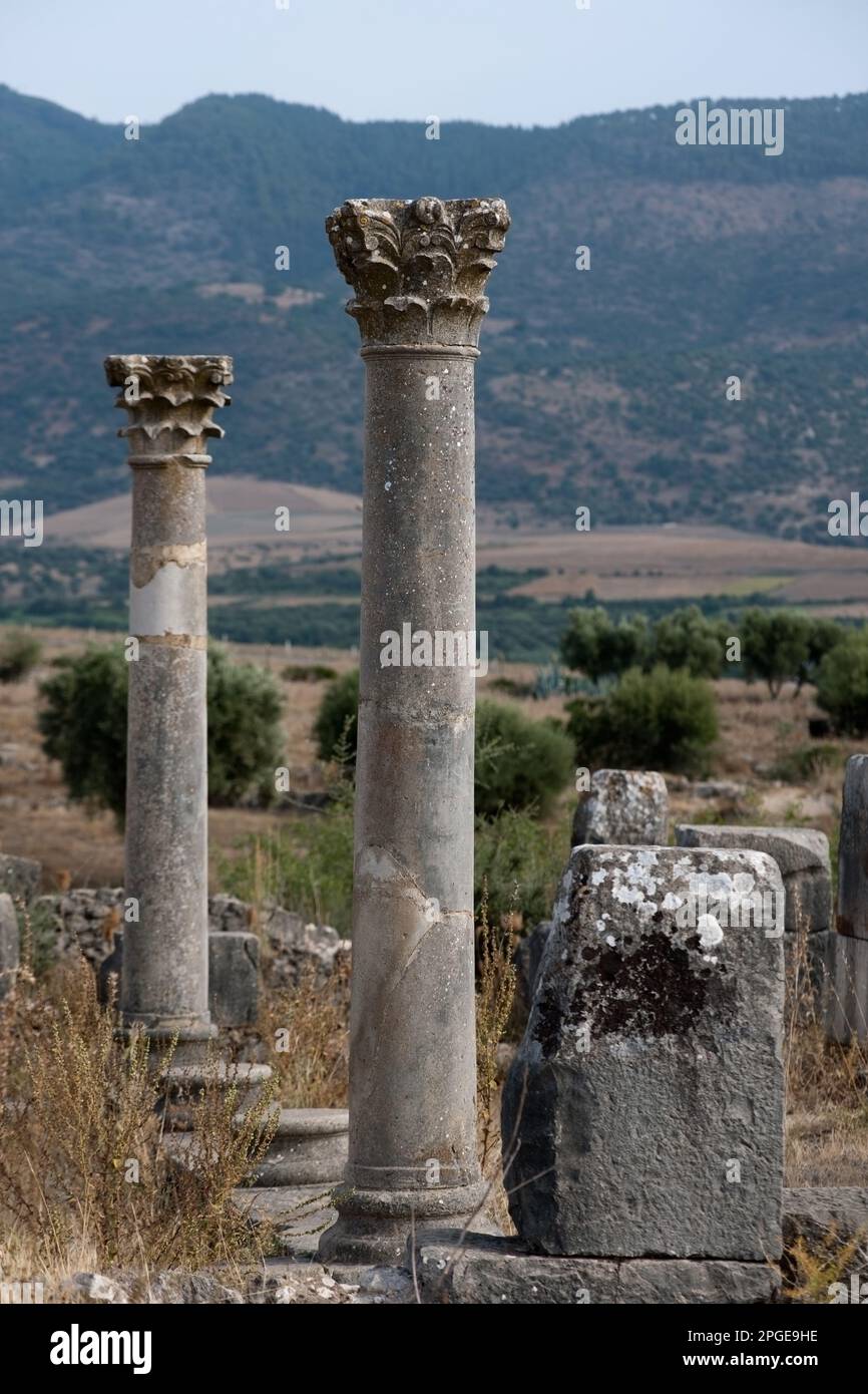 sito archeologico romano di volubilis, meknes, marocco, magreb, africa Foto Stock
