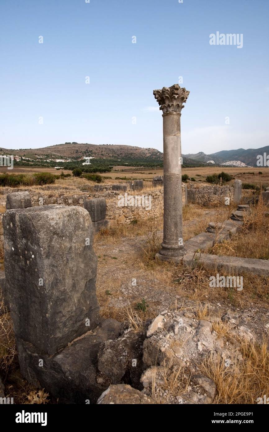sito archeologico romano di volubilis, meknes, marocco, magreb, africa Foto Stock