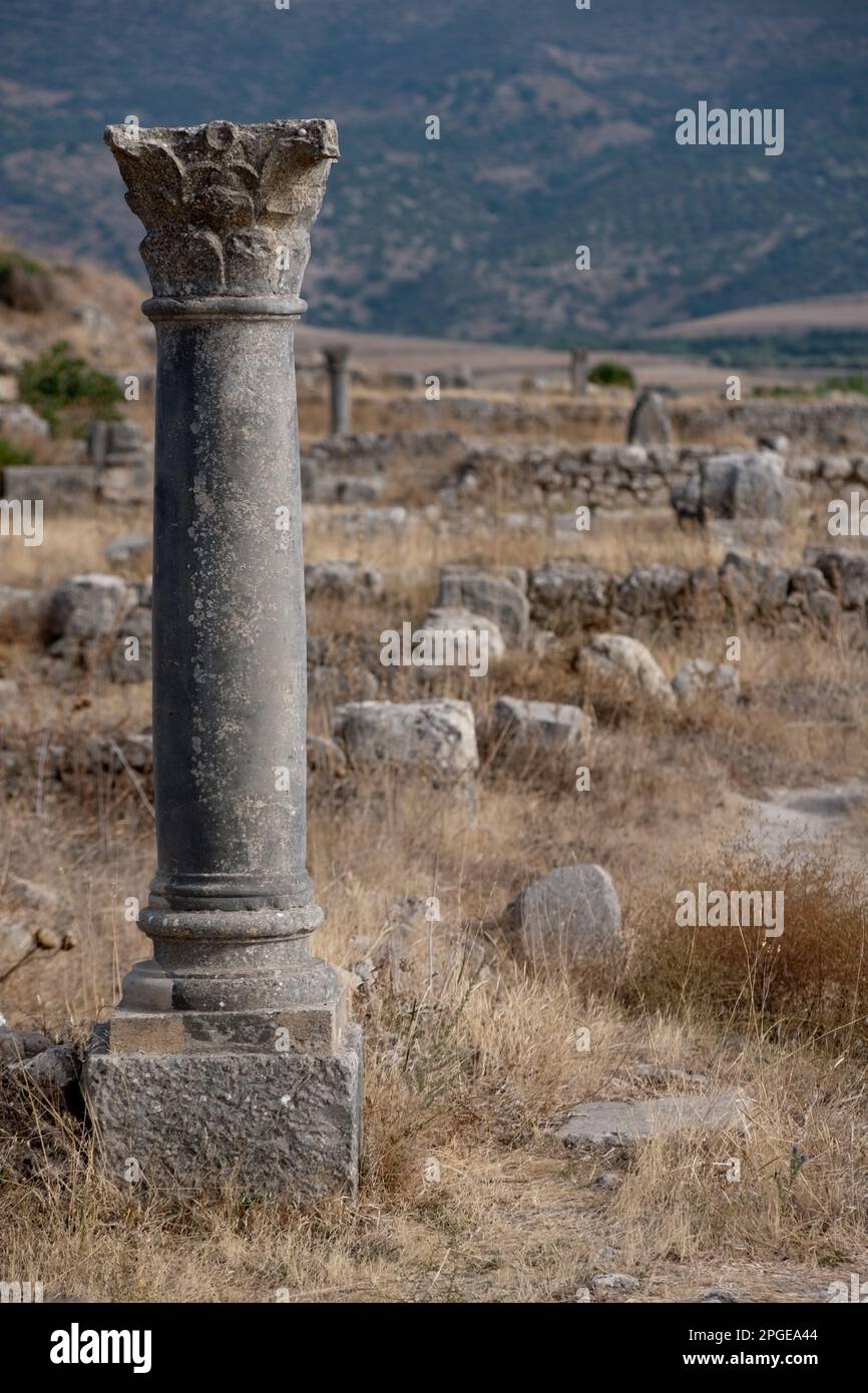 sito archeologico romano di volubilis, meknes, marocco, magreb, africa Foto Stock