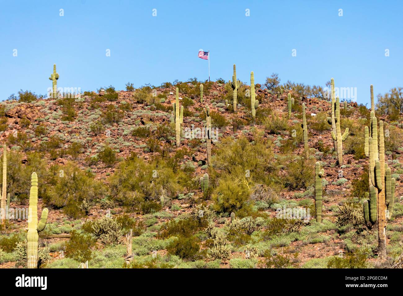 Il Vietnam Veterans Memorial a Peoria, Ariz., è visto il Giovedi, 16 febbraio 2023. Foto Stock