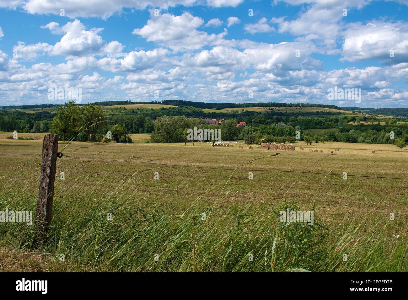 Grand Est, Francia. Prati e campi in estate Foto Stock