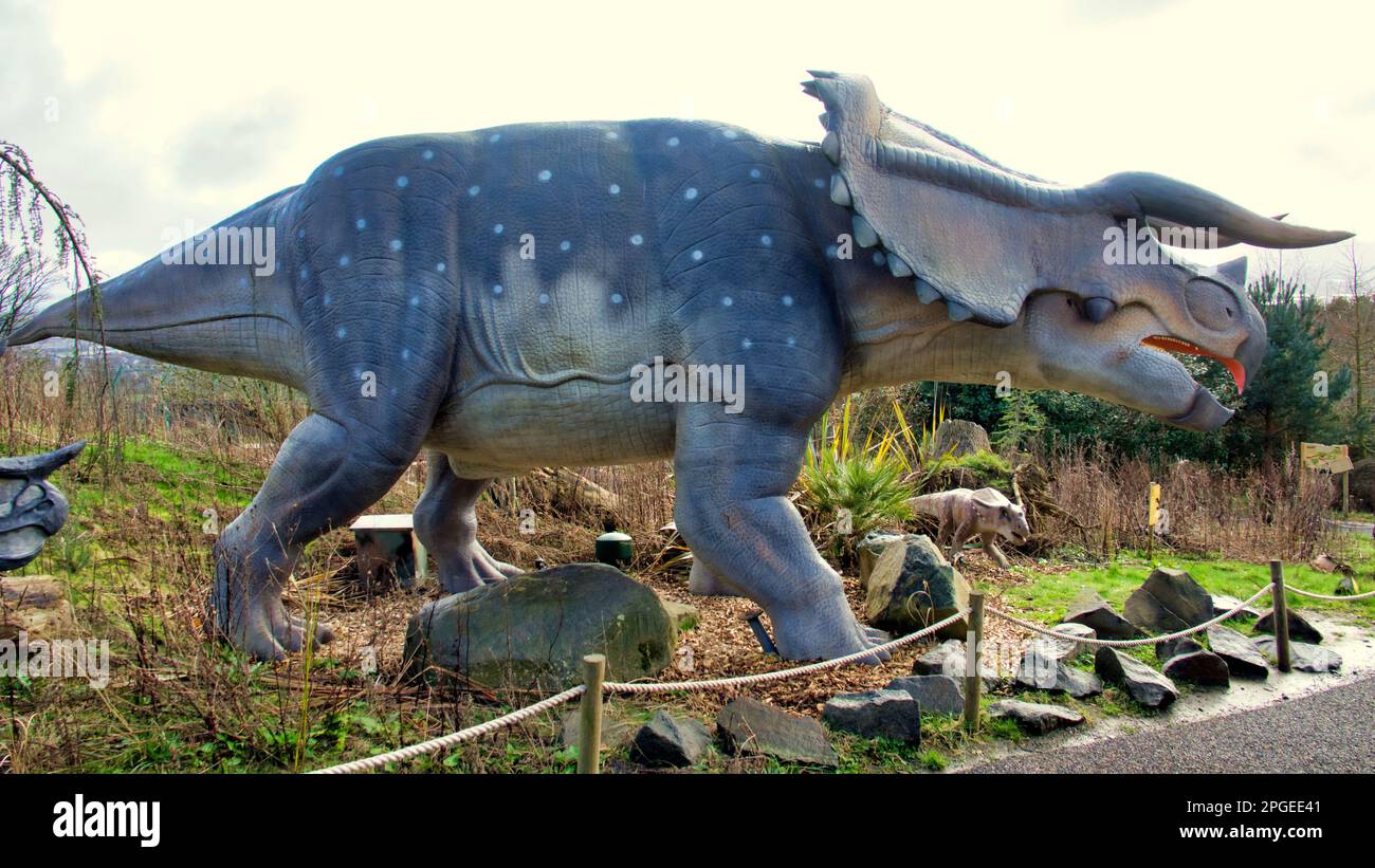 Modello animatronico triceratops e vitello allo zoo di Edimburgo mostra di dinosauri Hilltop Foto Stock