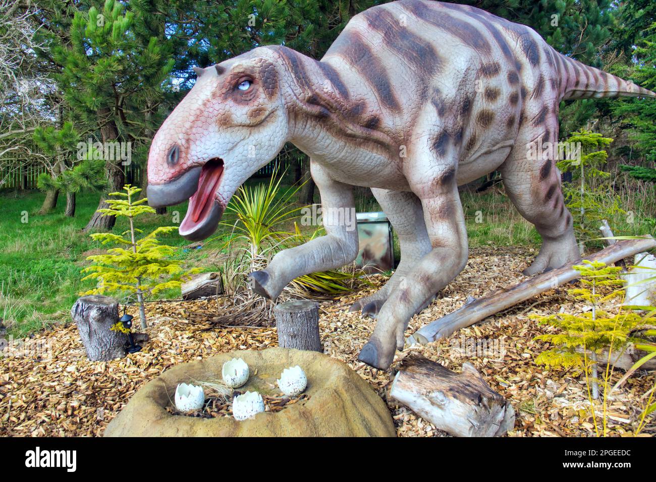 Modello animatronico di dinosauro con uova covate allo zoo di Edimburgo mostra di dinosauro Hilltop Foto Stock