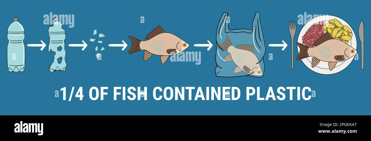 Infografica di pesci con microplastica sulla piastra. Un quarto dei pesci conteneva plastica. Inquinamento marino e plastico degli oceani. Ambiente globale p Illustrazione Vettoriale