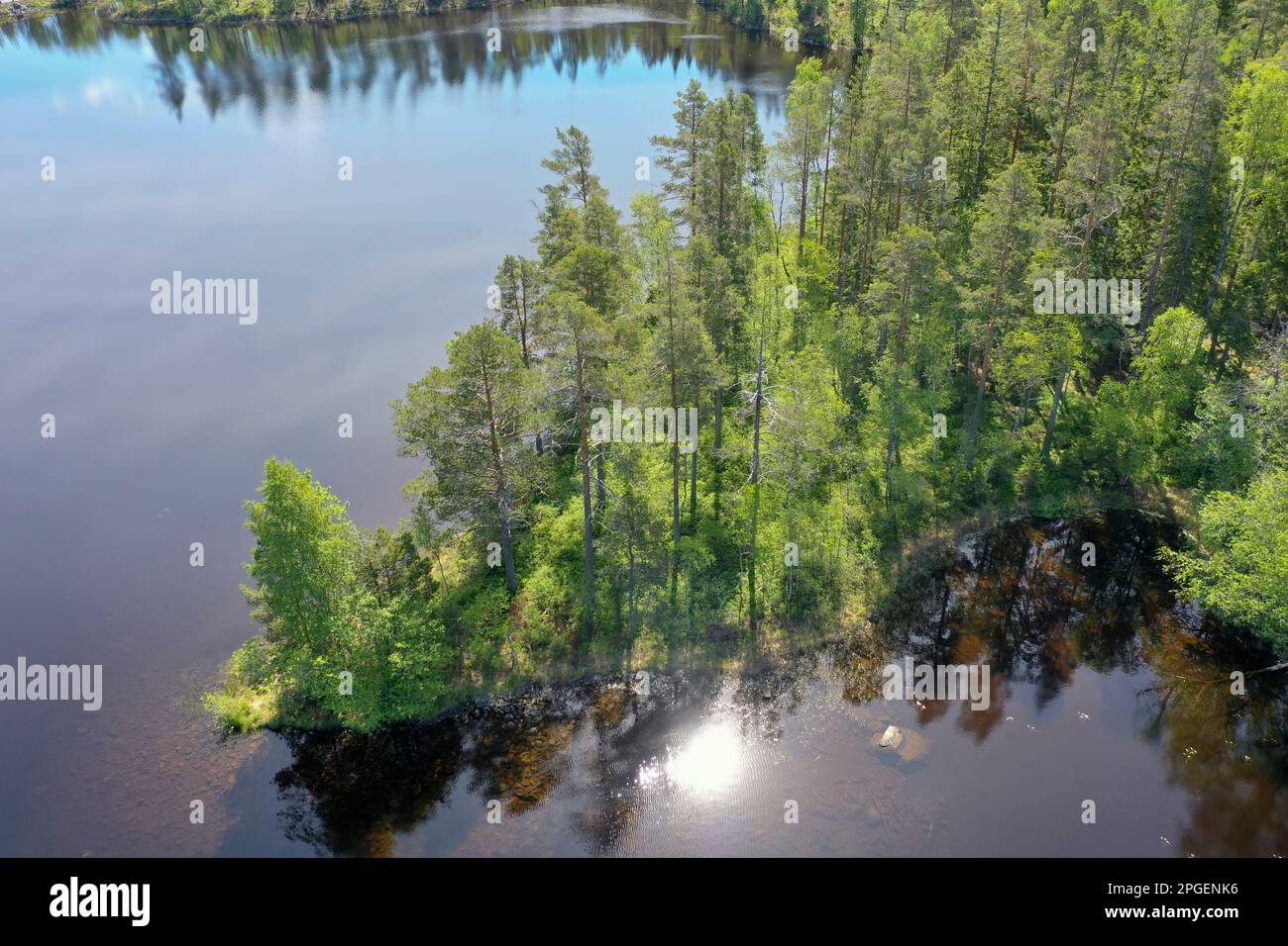 Vedi, Teich in Schweden, Storetjämet in der Nähe von Svarrjärn in Mittelschweden, Värmland Foto Stock