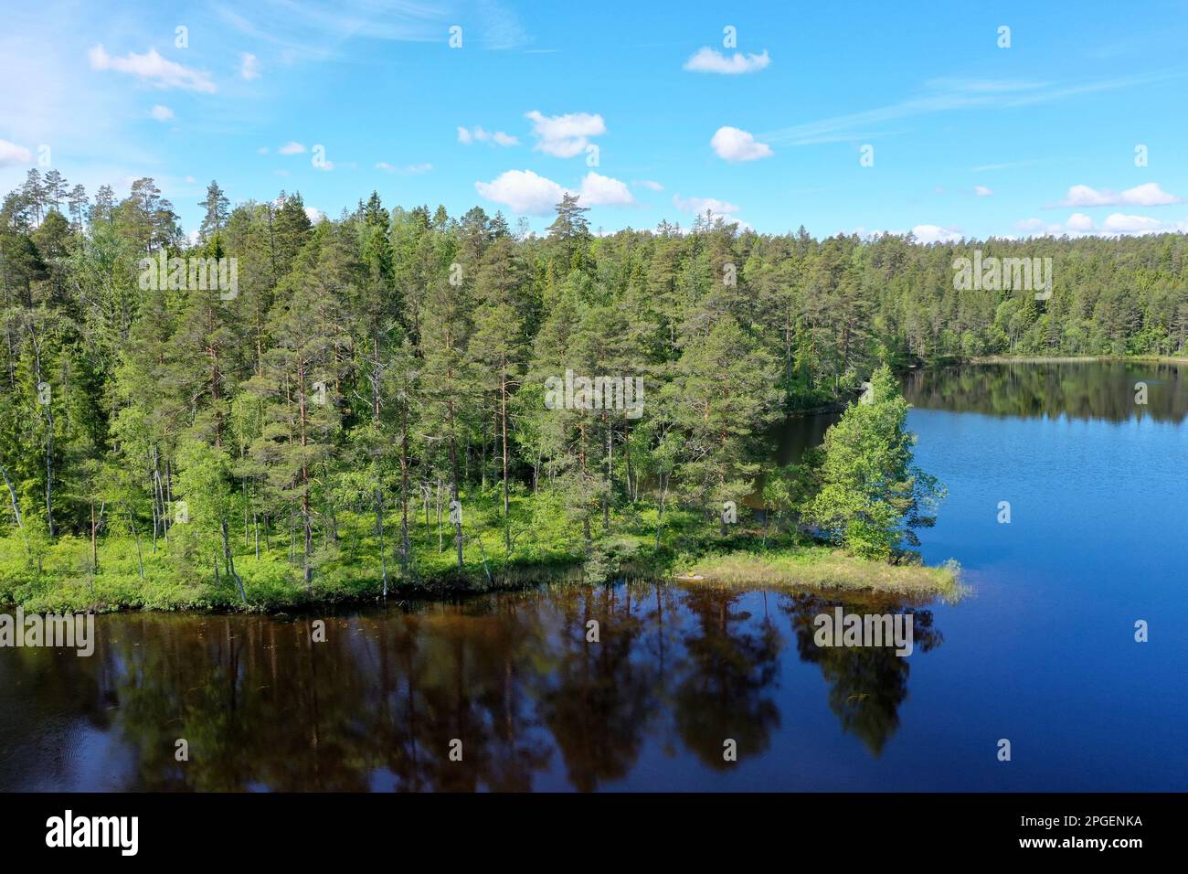 Vedi, Teich in Schweden, Storetjämet in der Nähe von Svarrjärn in Mittelschweden, Värmland Foto Stock
