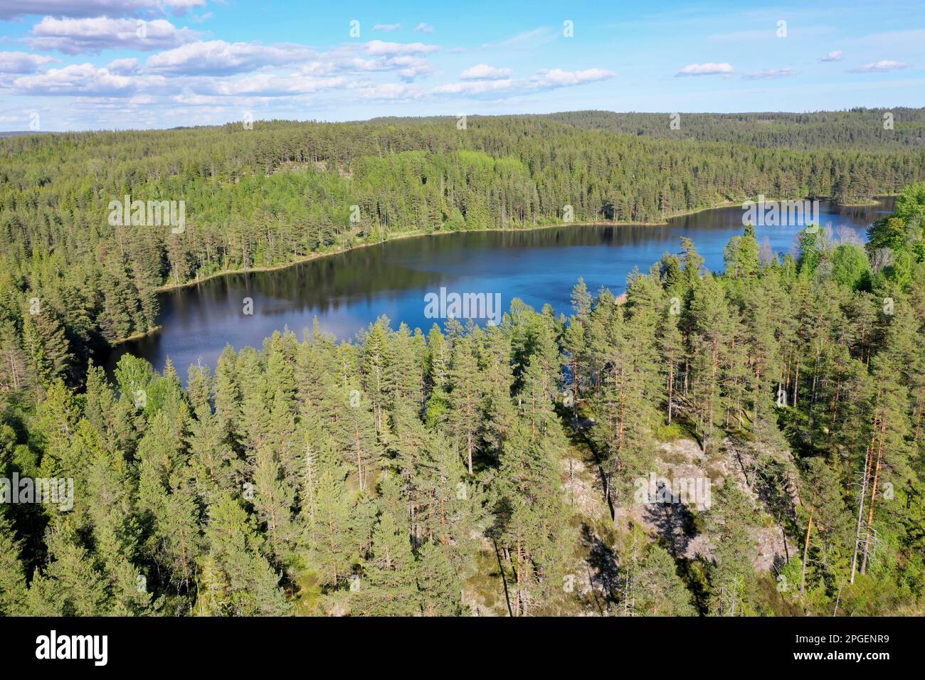 Vedi, Teich und Wald in Schweiden, Mittelschweden, Värmland, bei Årjäng Foto Stock