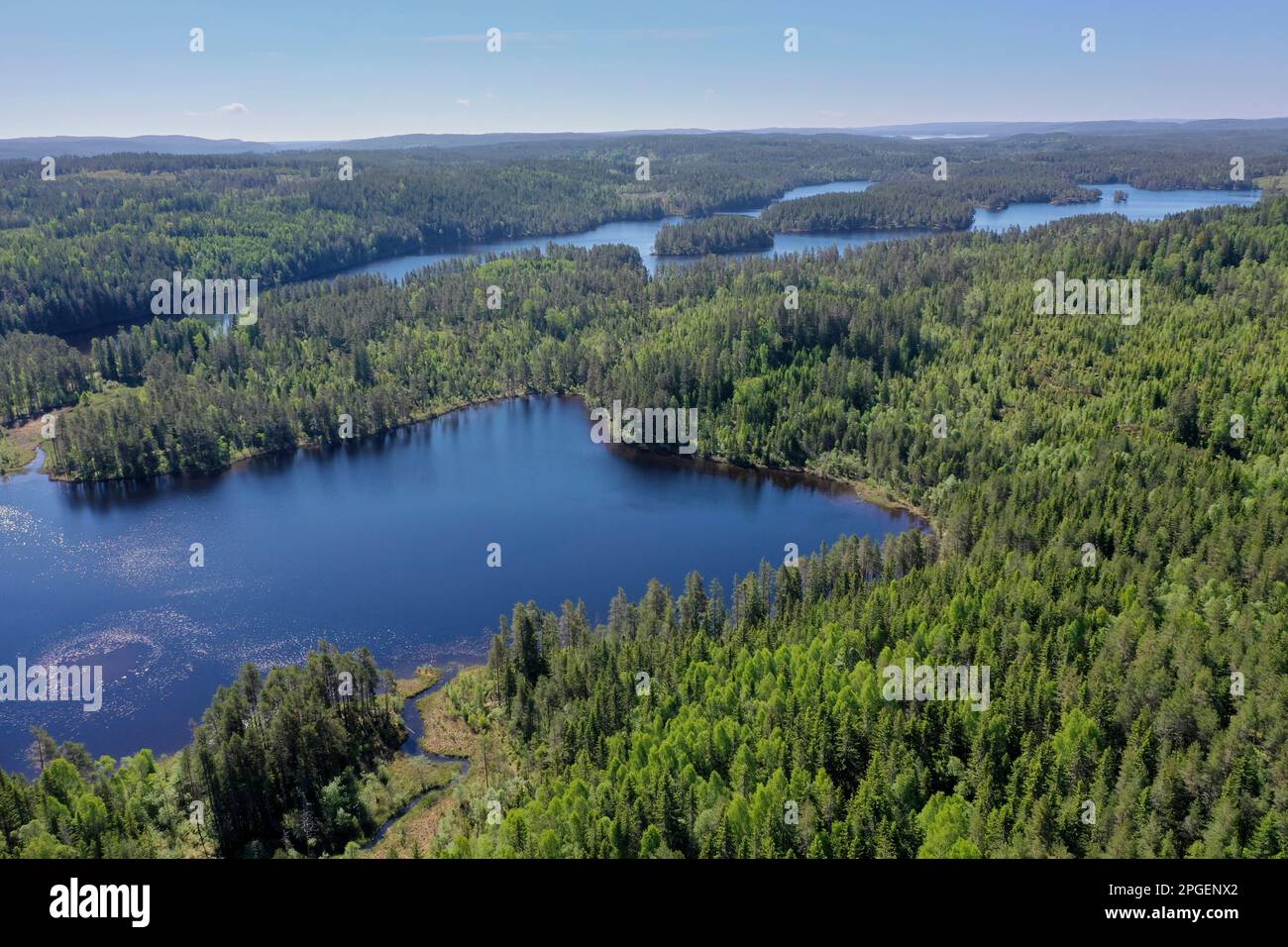 Vedi, Teich und Wald in Schweiden, Mittelschweden, Värmland, bei Årjäng Foto Stock