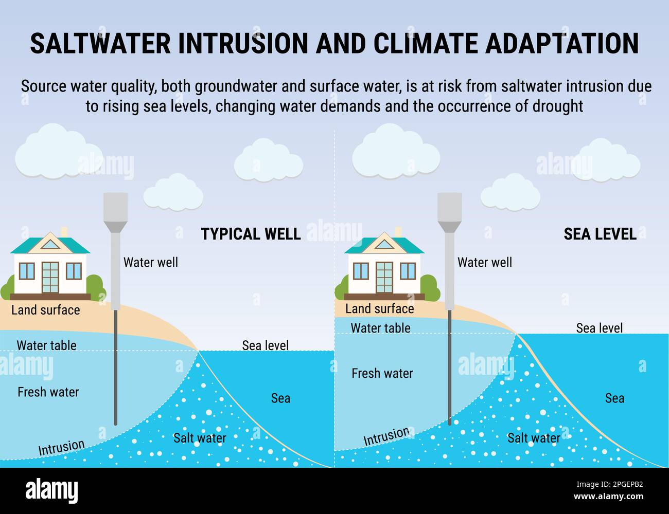 Infografica sull'innalzamento del livello del mare. Intrusione di acqua salata e adattamento climatico. Infografica vettoriale ambientale. Inquinamento idrico. Riscaldamento globale e clima Illustrazione Vettoriale