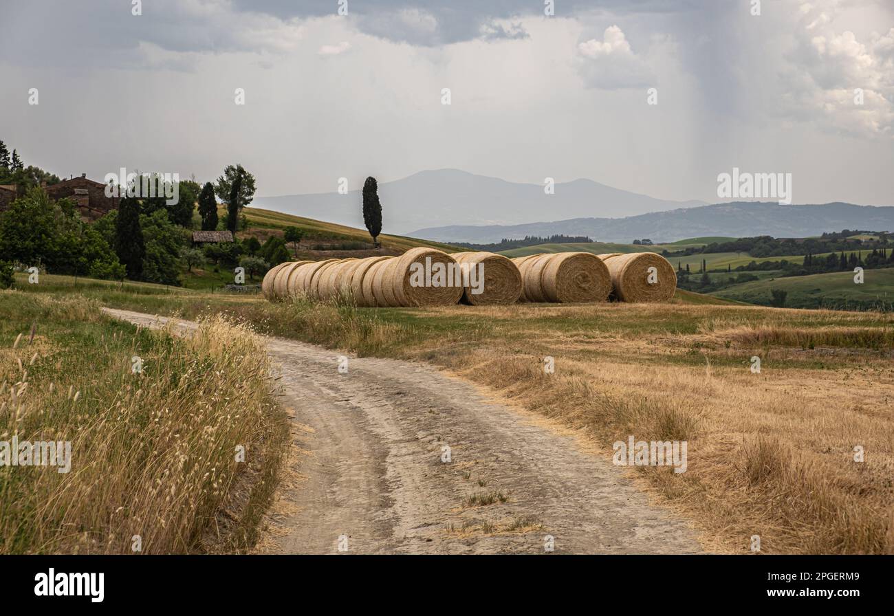 Paesaggio agricolo di balle di fieno in un campo nella stagione primaverile.Regione Toscana- Italia centrale - Europa. Foto Stock