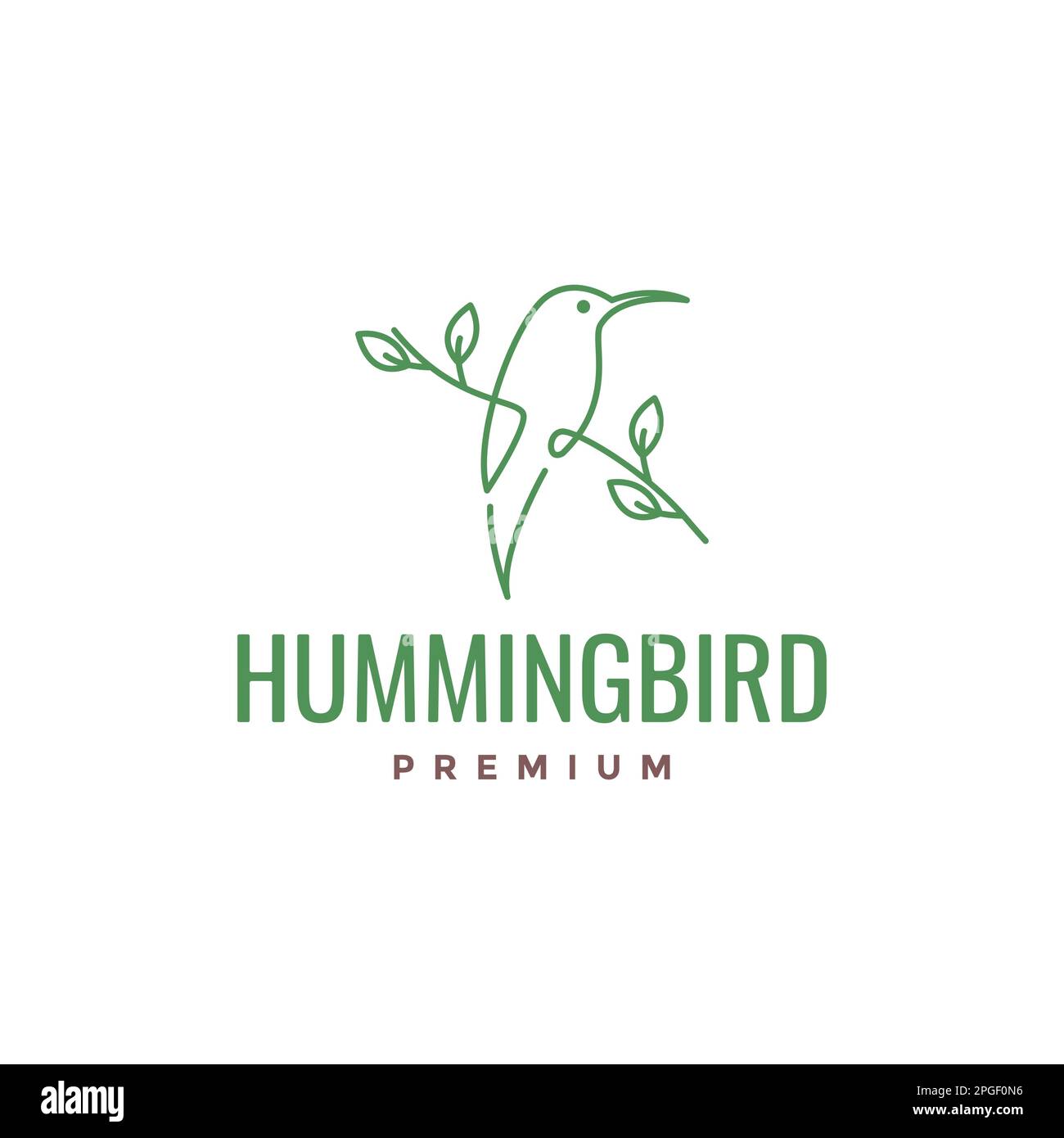 bellezza hummingbird becco lungo albero arroccato linea femminile arte minimal logo design vettore Illustrazione Vettoriale