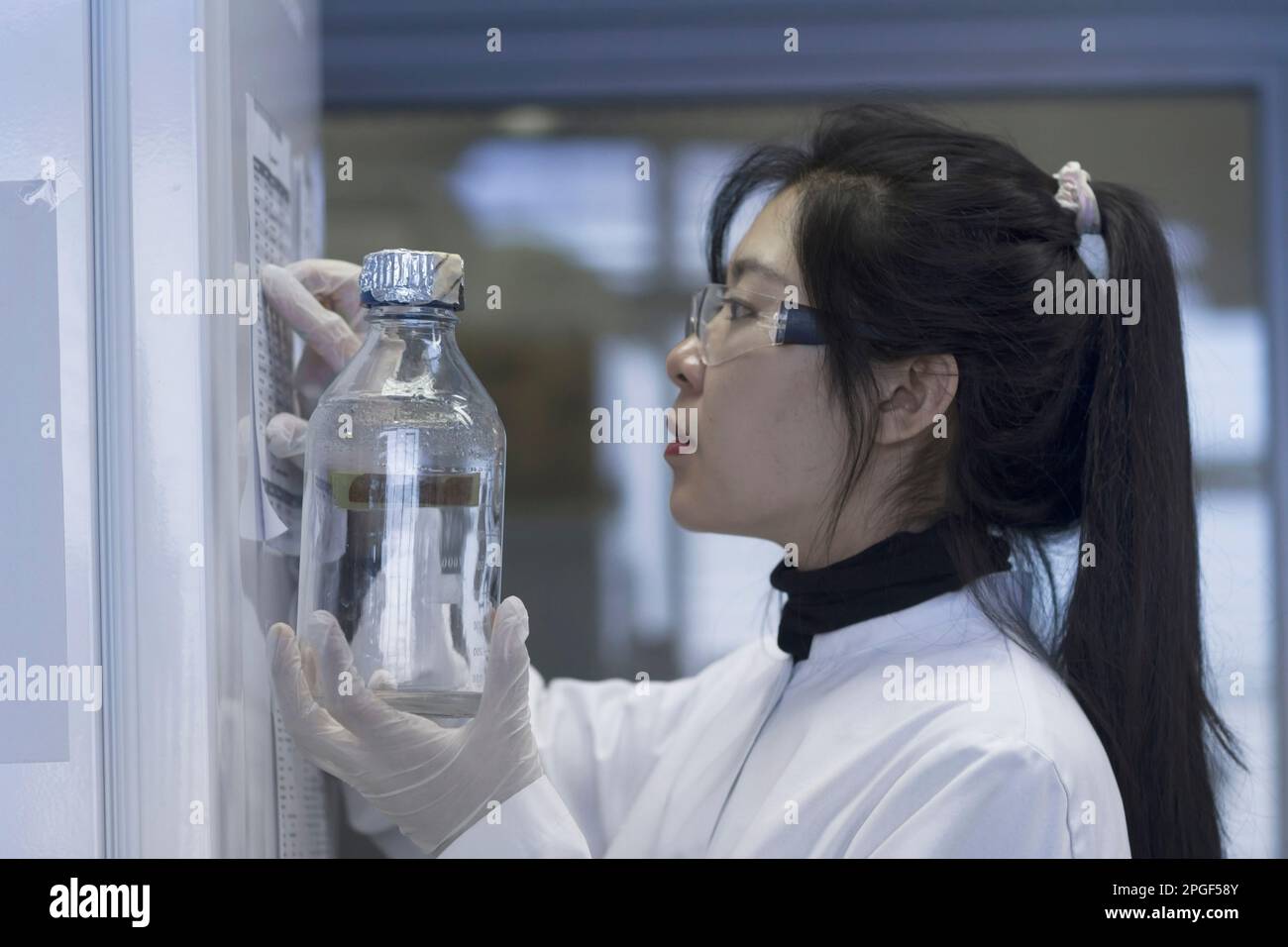 Giovane scienziata che legge appunti in un laboratorio, Friburgo im Breisgau, Baden-Württemberg, Germania Foto Stock