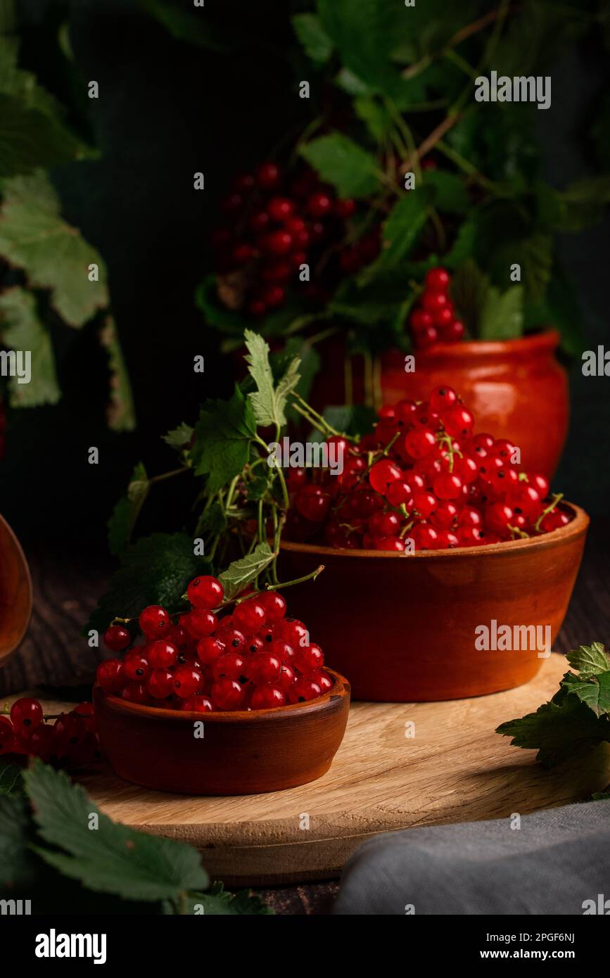 ribes rosso in una terrina di argilla e sui rami Foto Stock