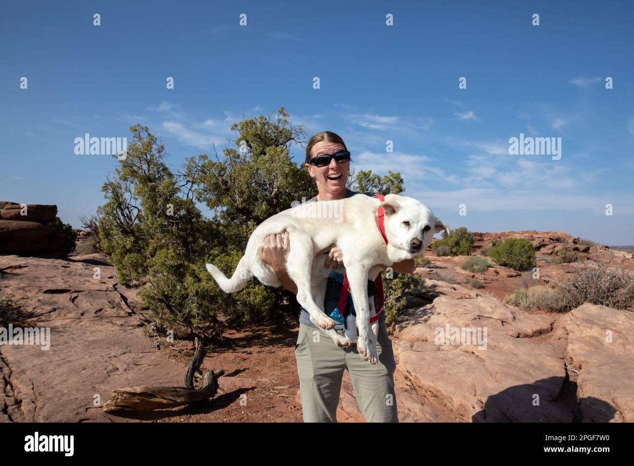 Giovane donna in occhiali da sole che tiene il cane a Dead Horse Point, Utah Foto Stock