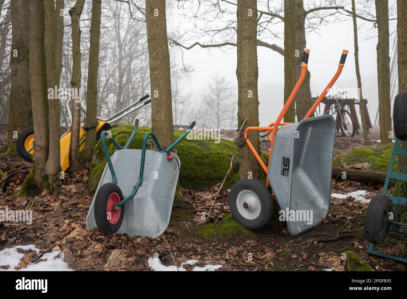 Carriole in una giornata di primavera nebbiosa Foto Stock