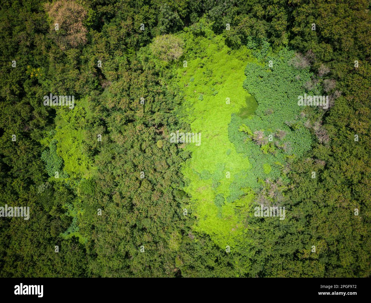 Bella vista drone a verde zona ecologica a Belo Horizonte Foto Stock