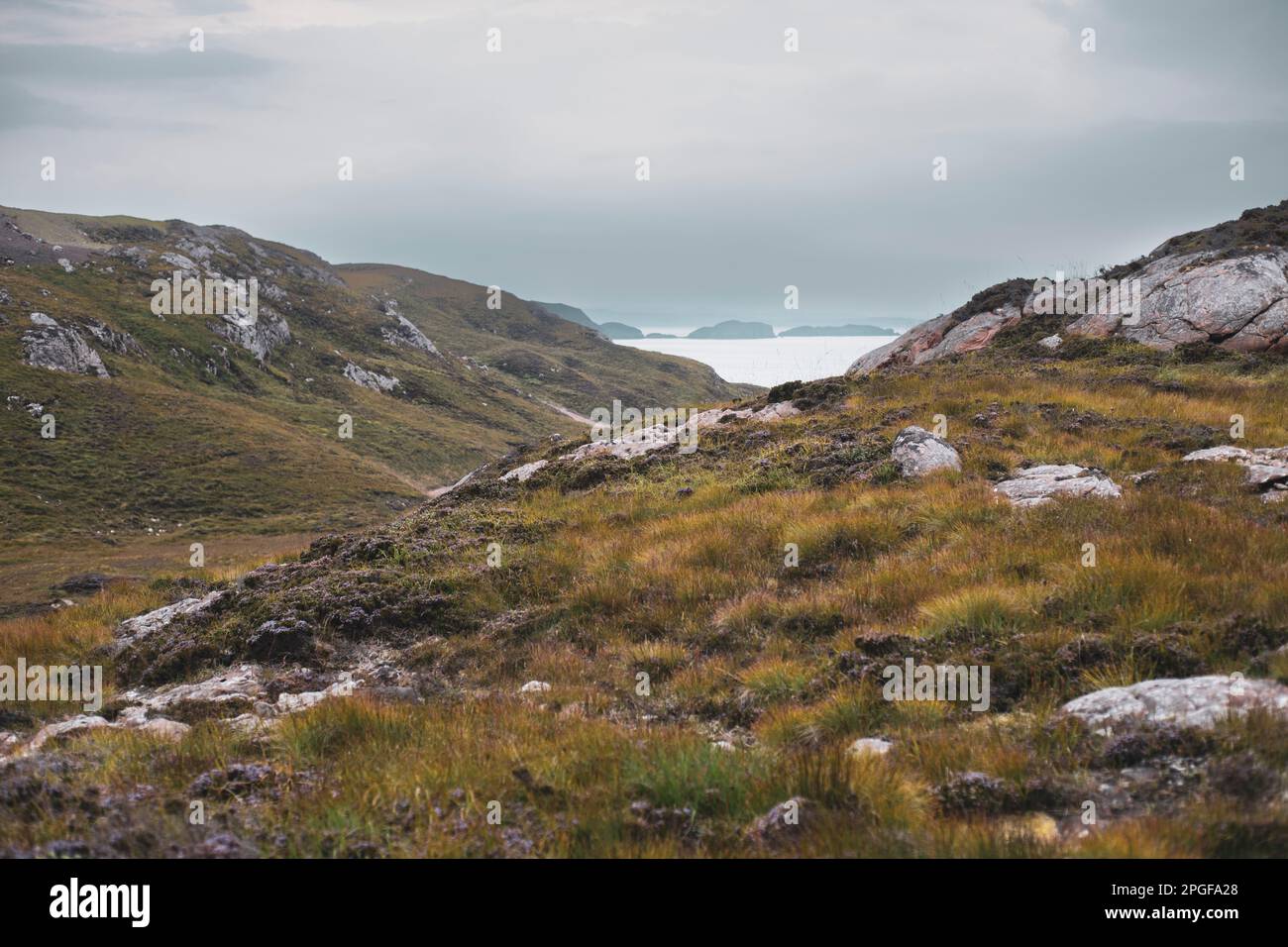 foto di una spettacolare collina, erica e oceano in scozia Foto Stock