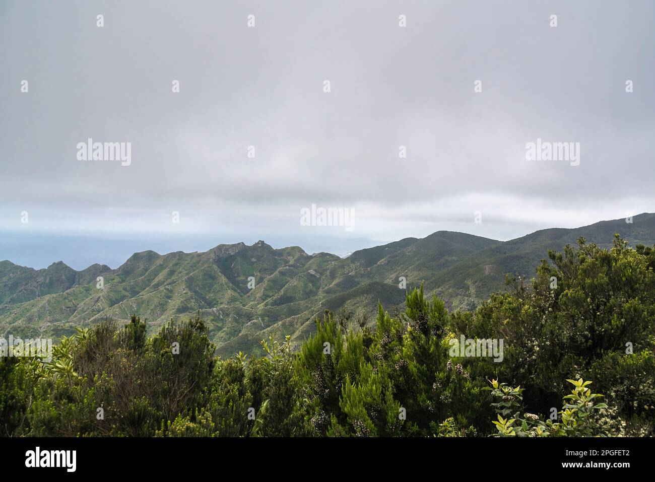 Giornata trascorsa nel parco nazionale di Anaga, Tenerife, Spagna a marzo Foto Stock