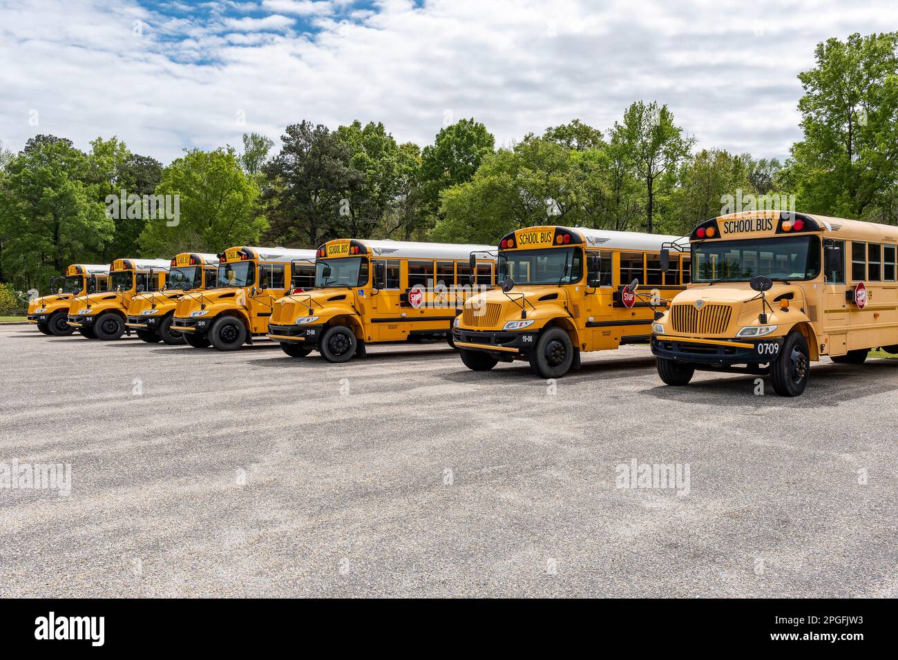 Linea di autobus di scuola gialla vuoti parcheggiati in attesa di trasportare bambini a scuola a Montgomery Alabama, USA. Foto Stock