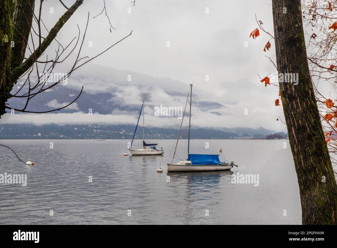Nebbia scenario naturale e barca a vela riparata in acqua d'inverno e vista attraverso gli alberi sul lago di Lugano con nebbia. Inverno dicembre sul Lago maggiore e plea Foto Stock