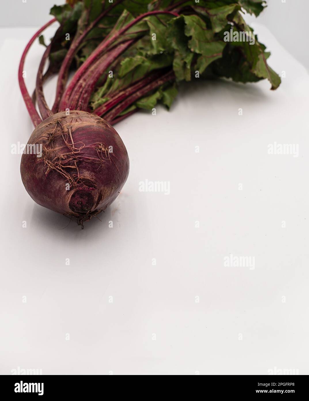 Focalizzazione selettiva di barbabietole e foglie fresche su sfondo bianco isolato. Foto Stock